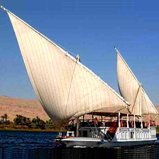 Albatros